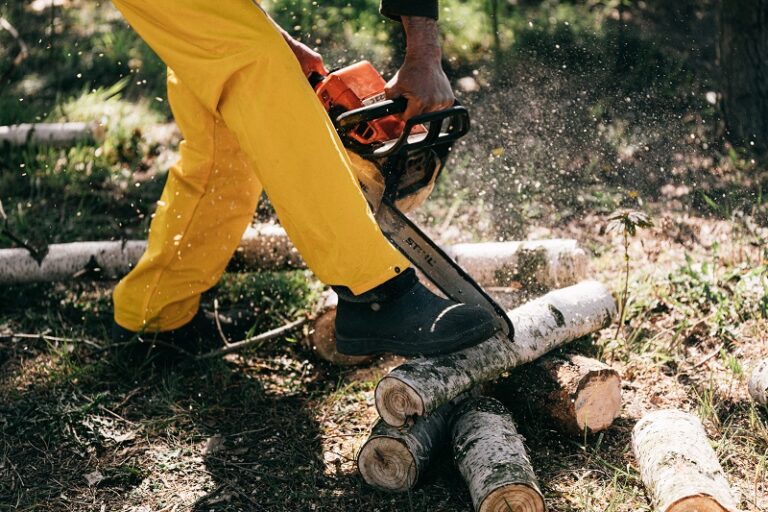The Difference Between A Jigsaw And A Sabre Saw